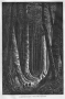 eric-navet-et-les-teko-de-guyane-livre:images-en-plus:1879-jules_crevaux-tour_du_monde-foret.jpg