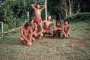eric-navet-et-les-teko-de-guyane-livre:images-en-plus:1972-eric_navet-camopi-football.jpg